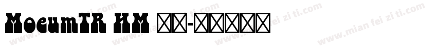 MoeumTR HM 常规字体转换